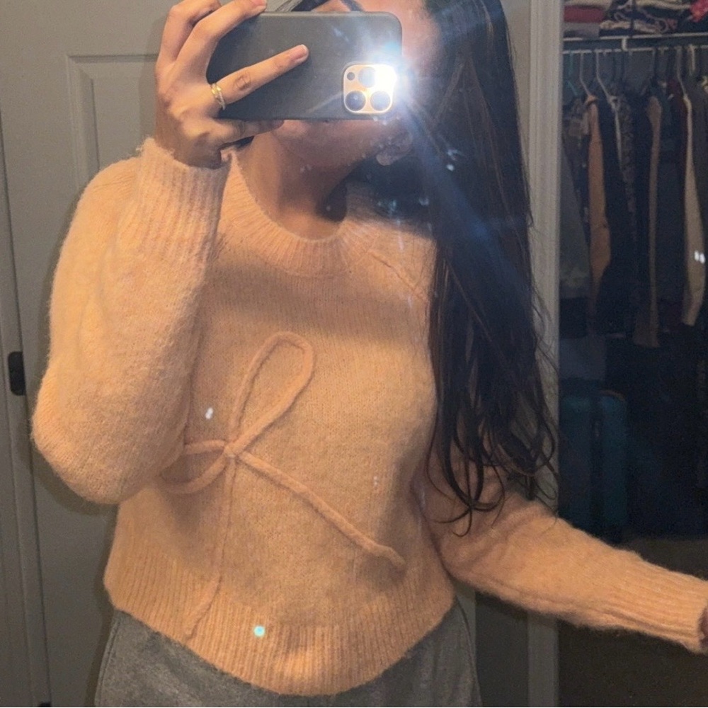 American Eagle Outfitters Peach Crew Neck Sweater